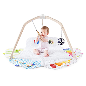 Play Gyms, Mats and Nests for Infants